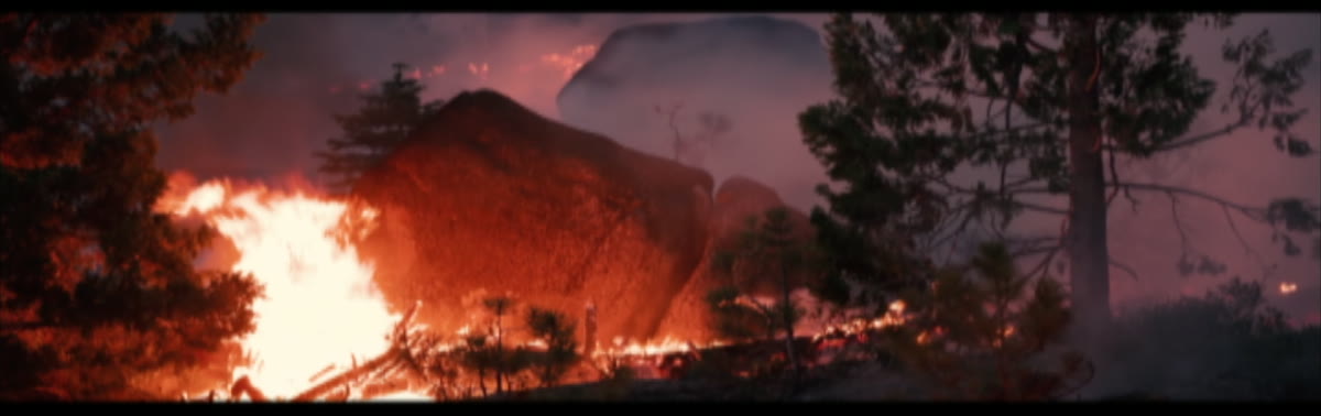 A forest fire at night, from the Radboud University film